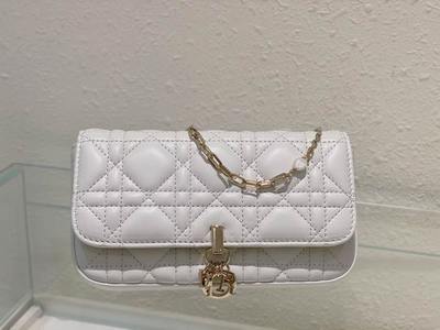 DIOR Handbags 1233